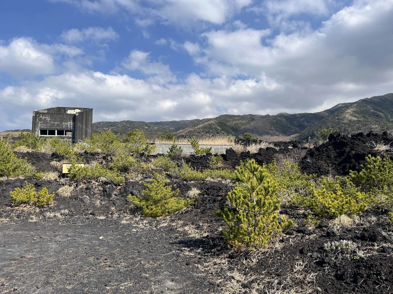 743 三宅島滞在記（2）～火山の島のあれこれ〜｜かずとらべる（市町村