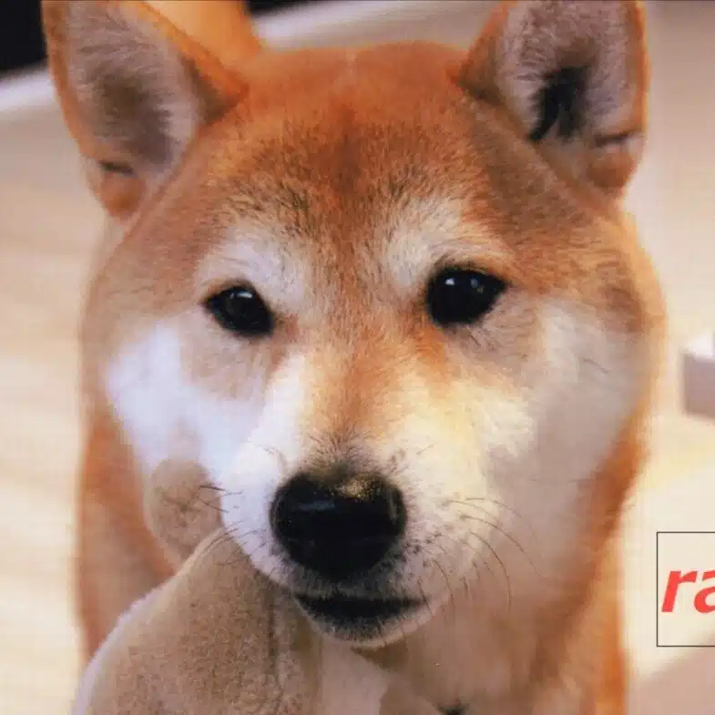 バクゼン