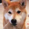 バクゼン
