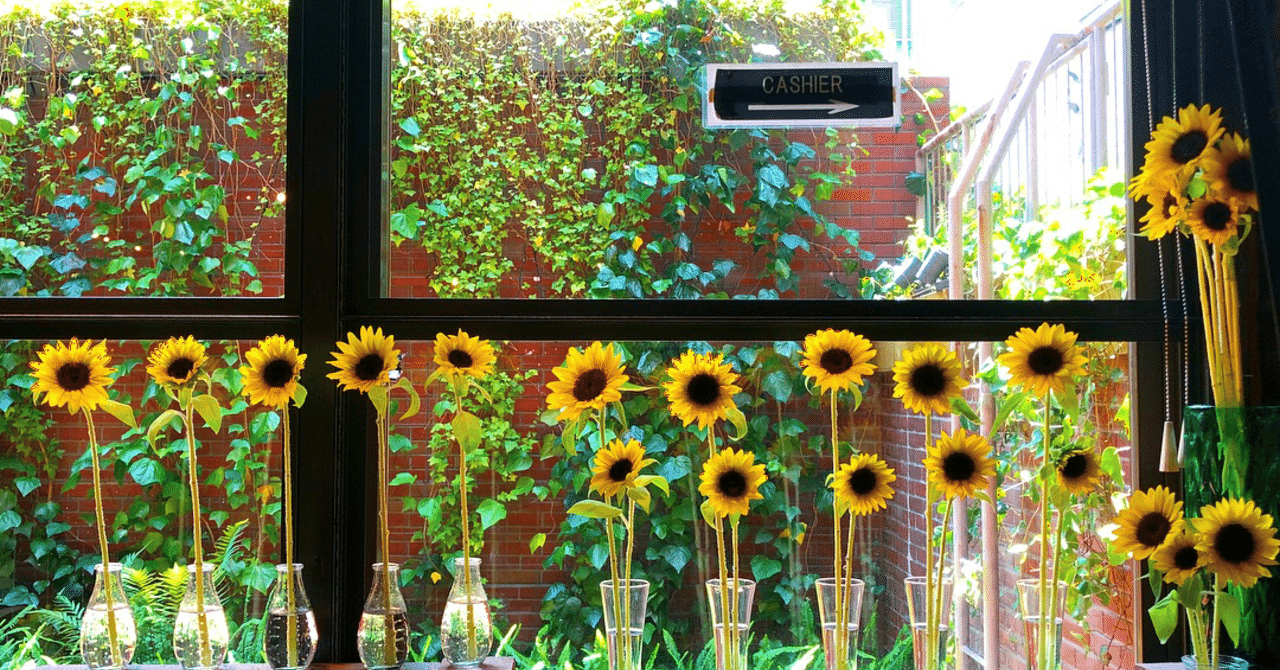 オーストラリア人旦那さんと婚姻届を出すまで なだみき Note