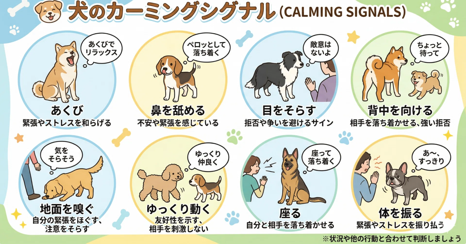 愛犬との信頼の口座を増やすコツ。カーミングシグナルの読み方｜阿部睦