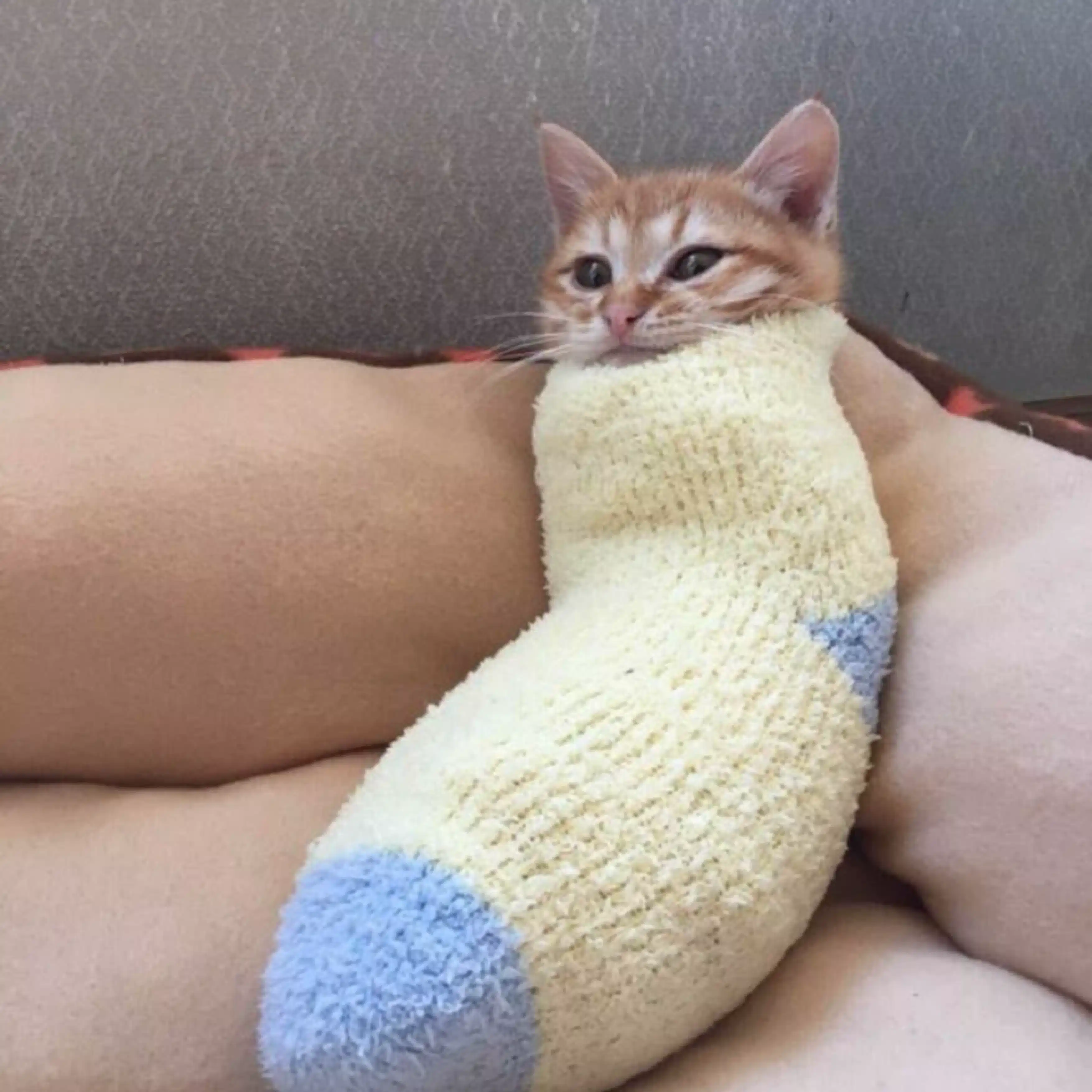 plufur