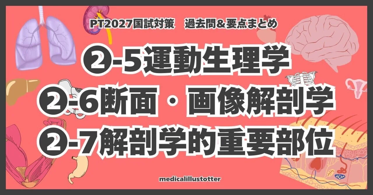 ➁-5運動生理学 ➁-6断面解剖学・画像解剖学 ➁-7 解剖学的重要部位 第 