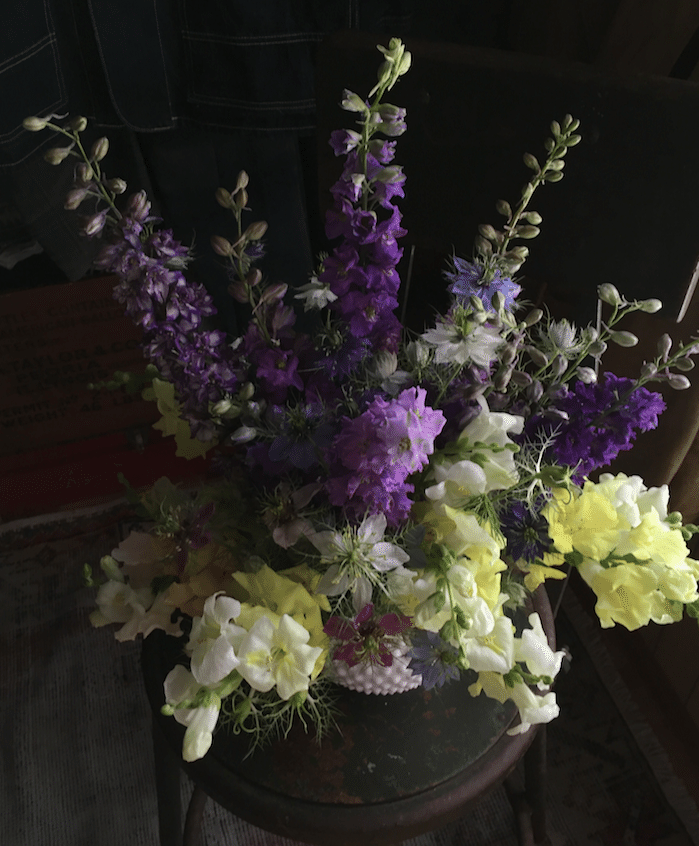 29 My Garden Journal 花の水替えに時間がかかる理由 Yukibean Yuki Bee Note