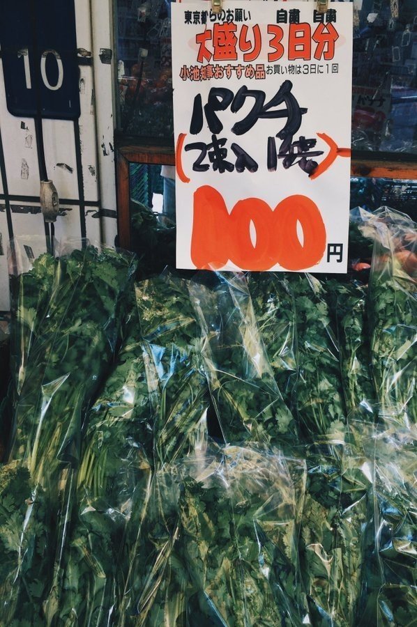 花粉症とパクチーは似ている ぱねかみ Note 花粉症とパクチーは似ている ぱねかみ Note