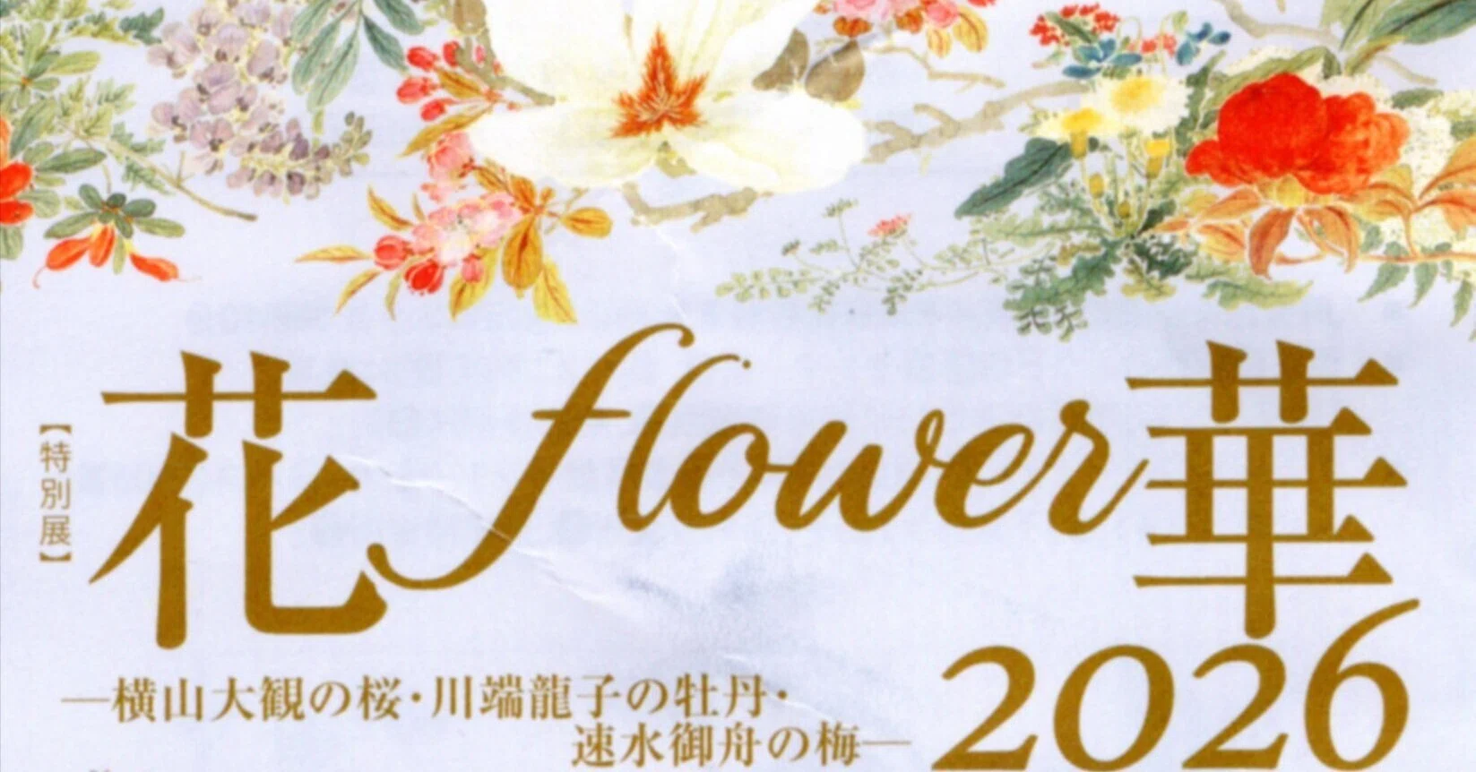 花花花のママページ 山種美術館の花園「花・flower・華 2026」展｜花を描くことの残酷さを