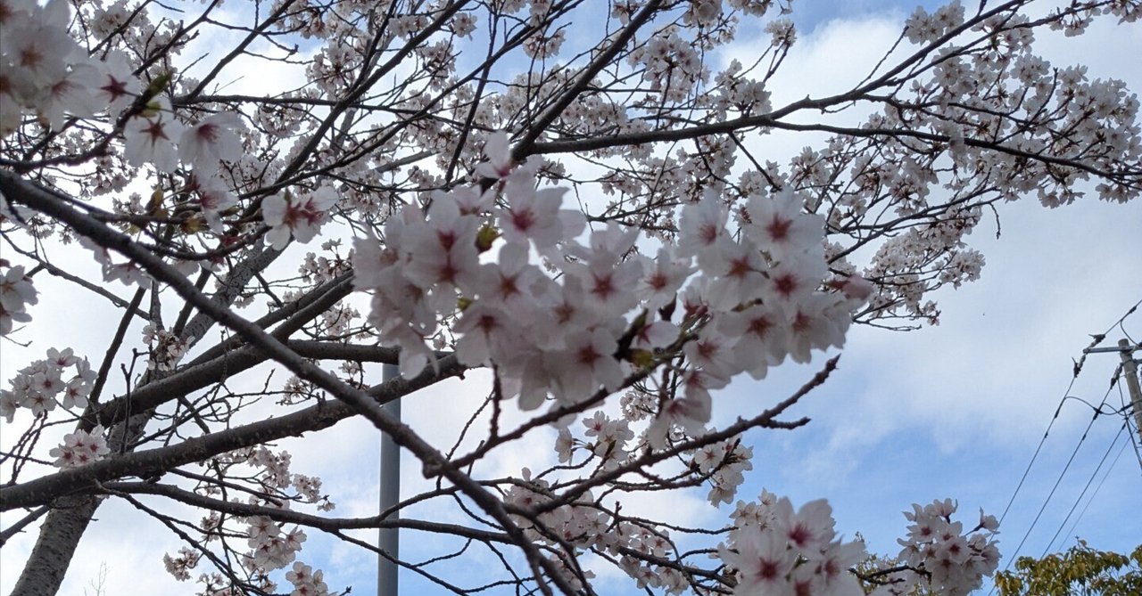 「【日記No.86】毎年恒例のウォーキングイベント🚶‍♂️」のサムネイル