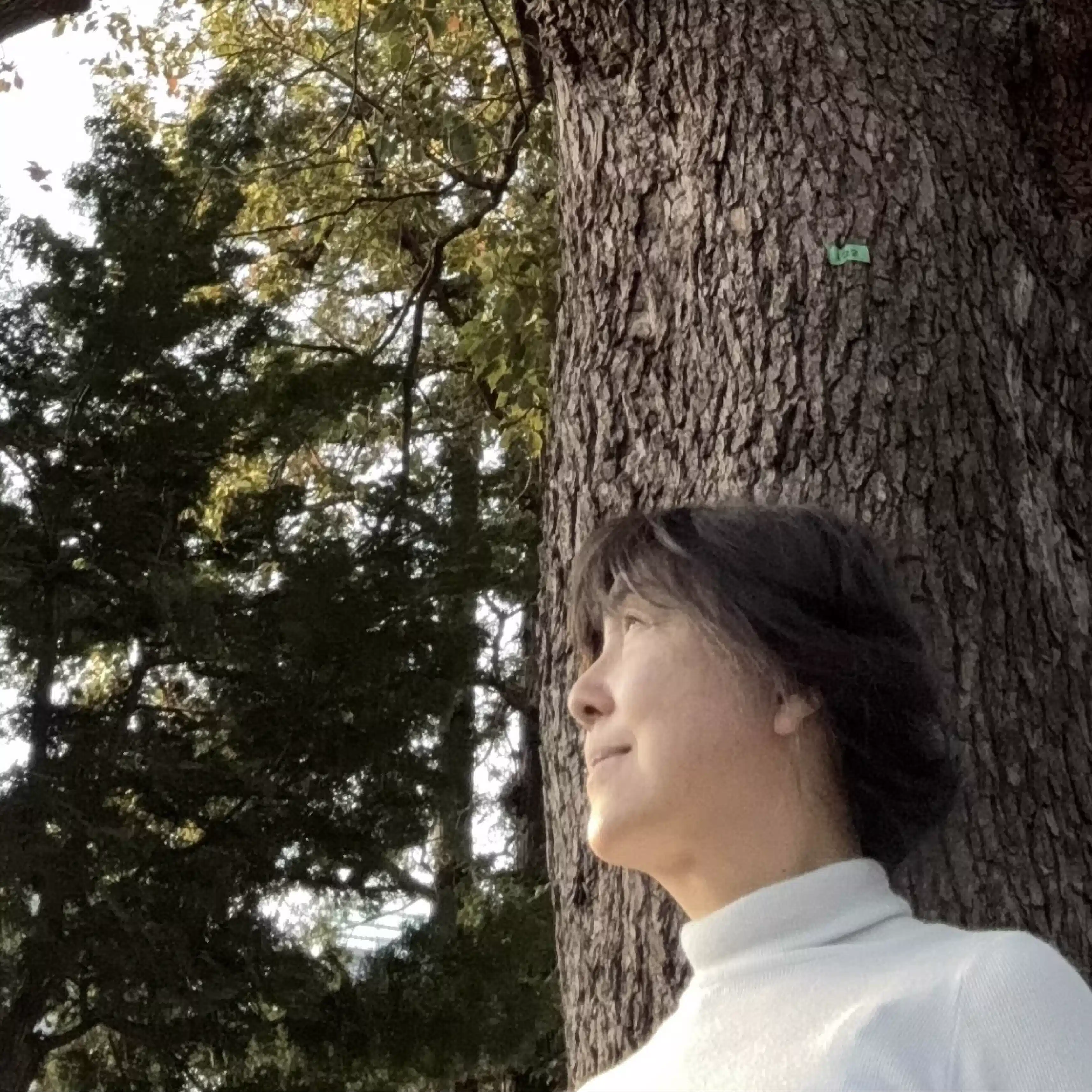 足立なみこ
