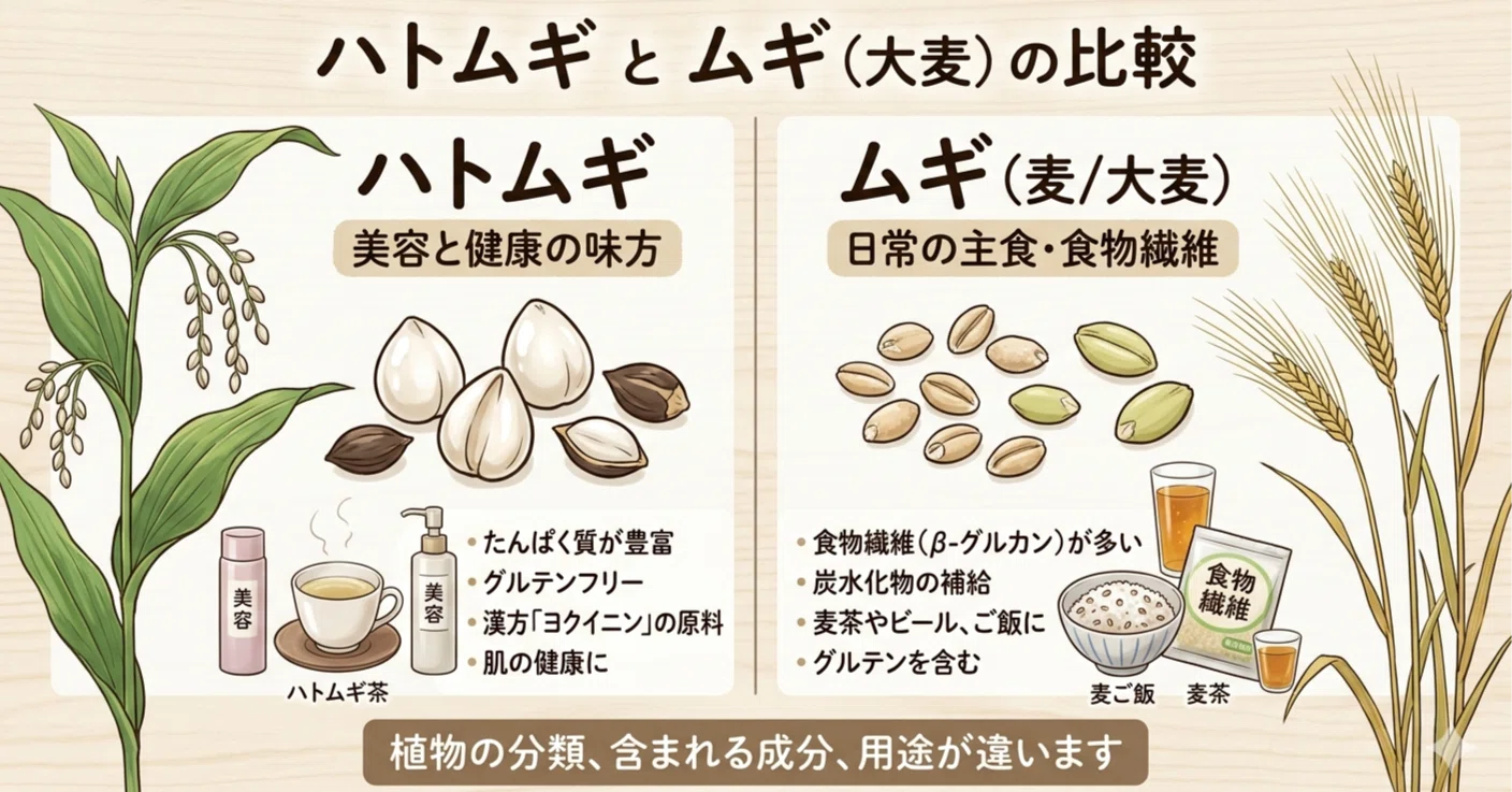 は と 麦 と は