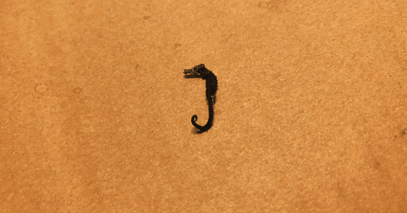 私が鍛冶屋になった理由 Vol 2 小春 Note