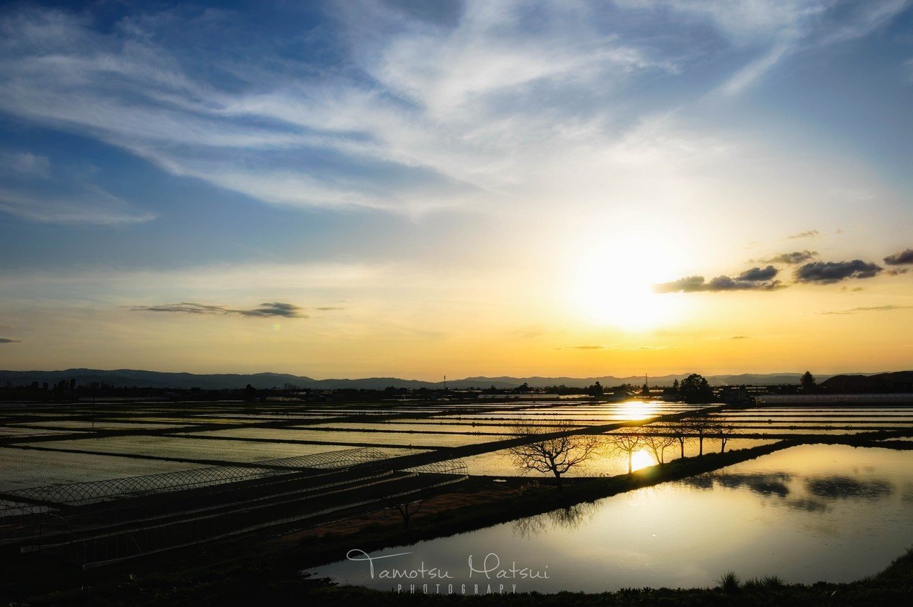 春の田園風景 Tamotsu Matsui Note