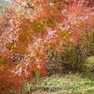 荒井徹