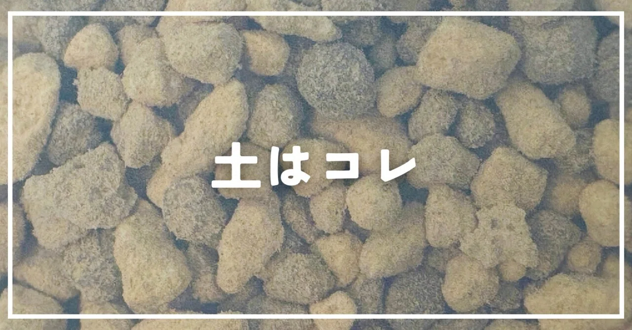 多肉植物専用の土で室内育成した結果｜初心者でも問題なく育ちました