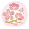 おかぴ