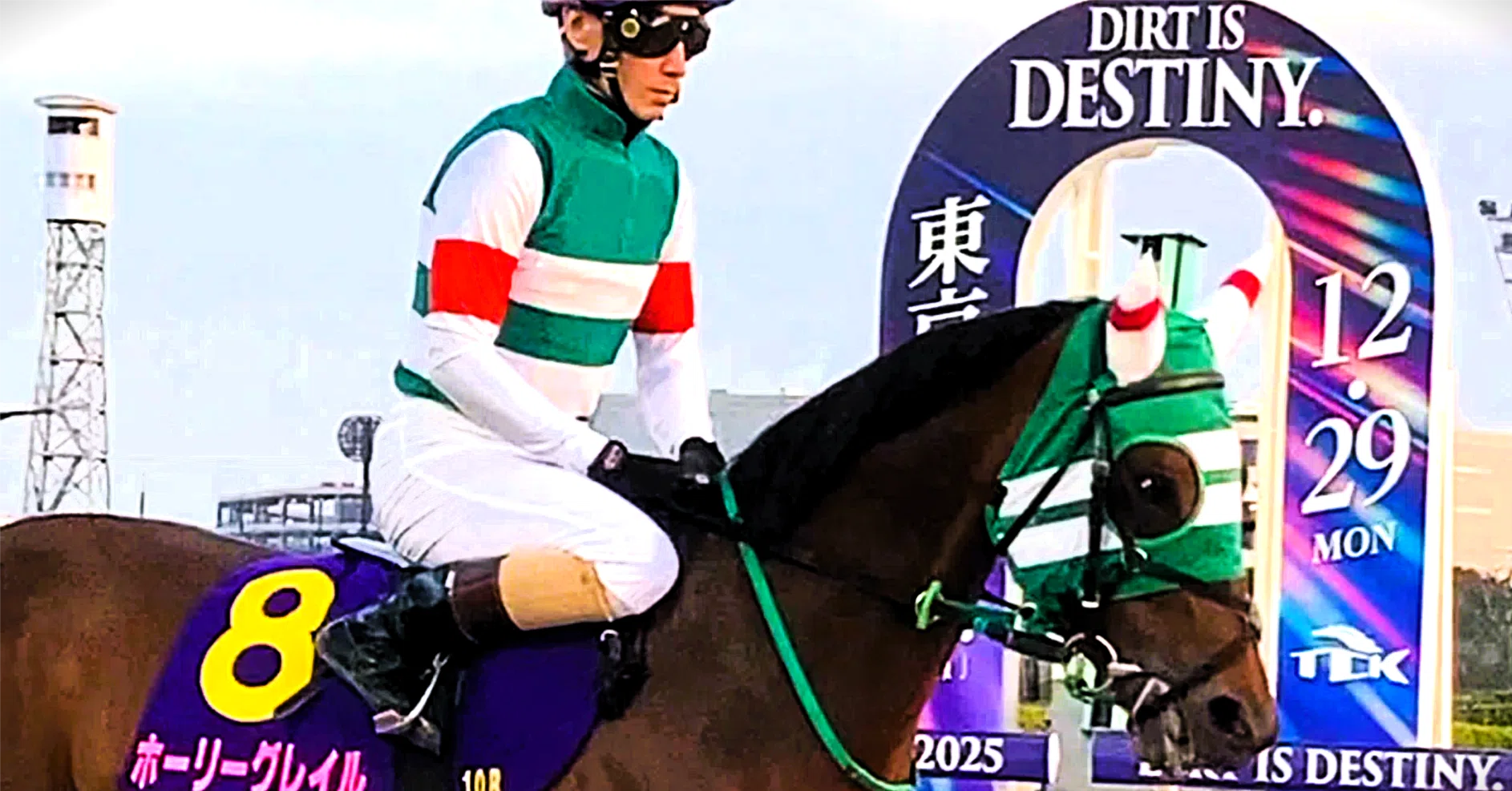 Carrot Club Special Recruitment (9, 94-99) 2025 Horse Syndicate