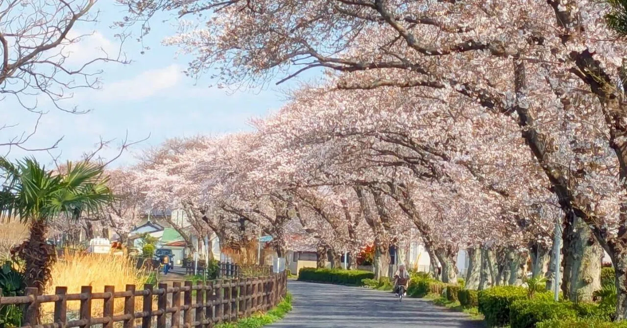 埼玉 県 春日部 市
