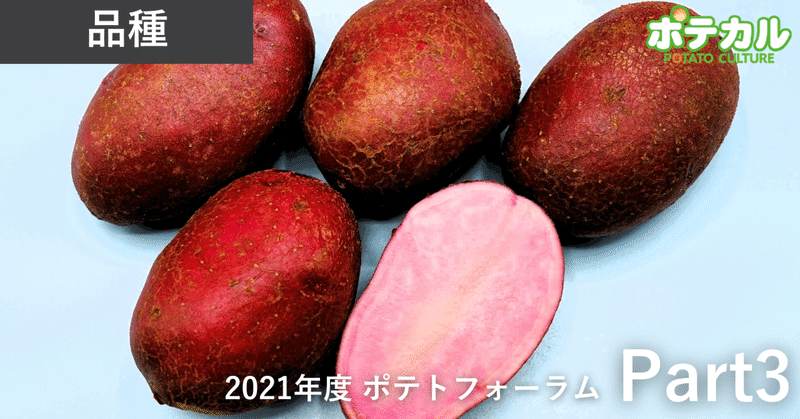 赤肉色のカラフルポテト「シャイニールビー」