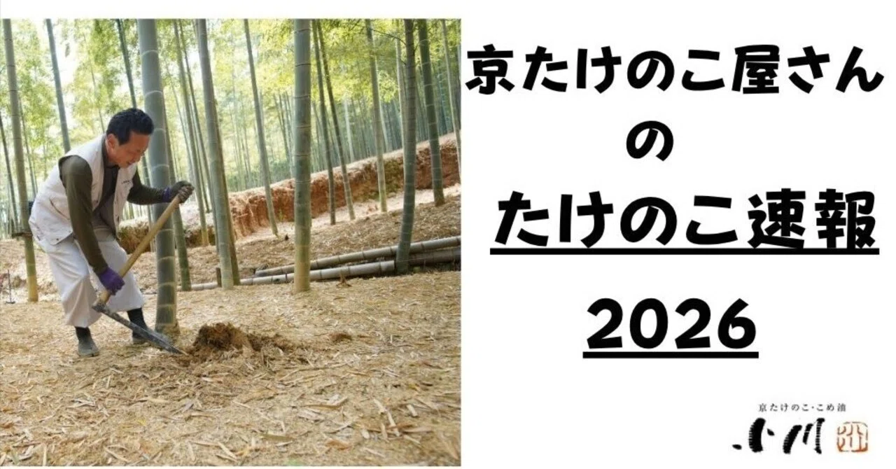 京たけのこ屋さんがお送りする2026年たけのこ速報｜京たけのこ・こめ油
