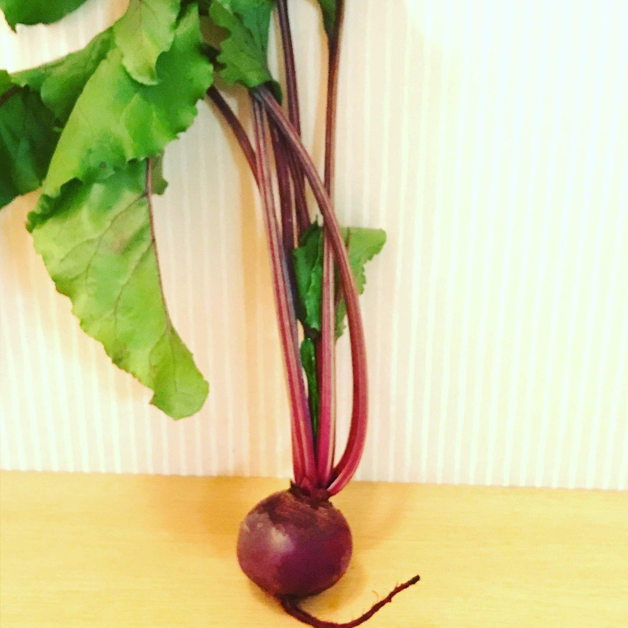 家庭菜園は楽し ビーツってこんな野菜 Something Blue Note