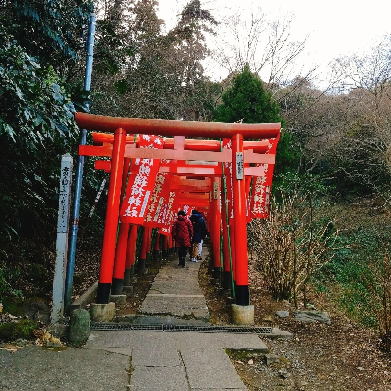 鎌倉 ご利益あり 散歩で立ち寄りたいフォトジェニックなおすすめスポット Swgr 寝ても覚めてもご当地リバイバル Note
