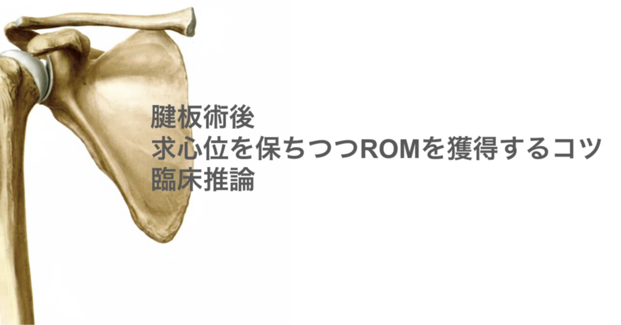 「ARCR術後、なぜ動かしているのに硬くなるのか？癒着を最小限にする運動・ROM・徒手の臨床整理」｜整形外科疾患の理学療法士