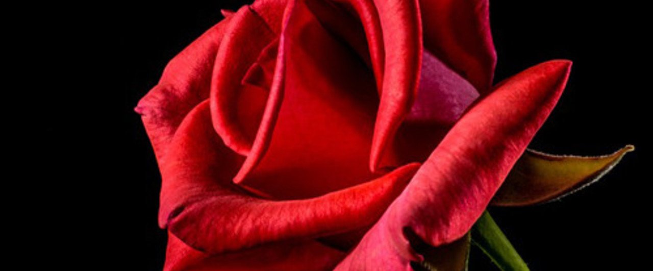 ラトナラジュ の新着タグ記事一覧 Note つくる つながる とどける