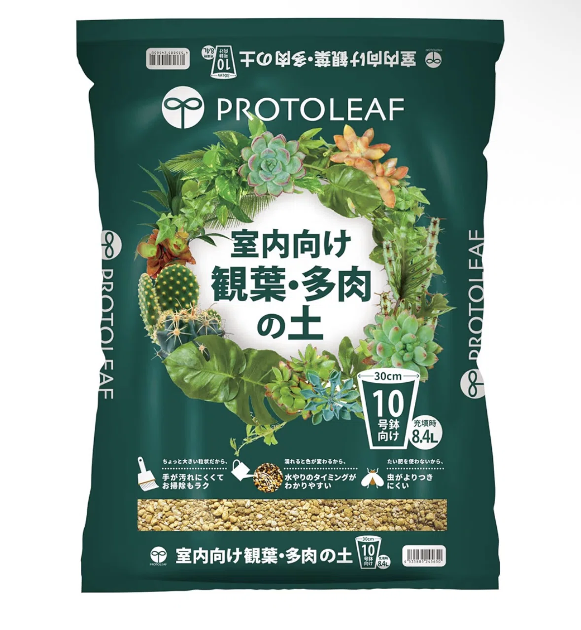 多肉植物専用の土で室内育成した結果｜初心者でも問題なく育ちました