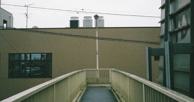 ドクダミがきらいになった話 Obakeweb Note