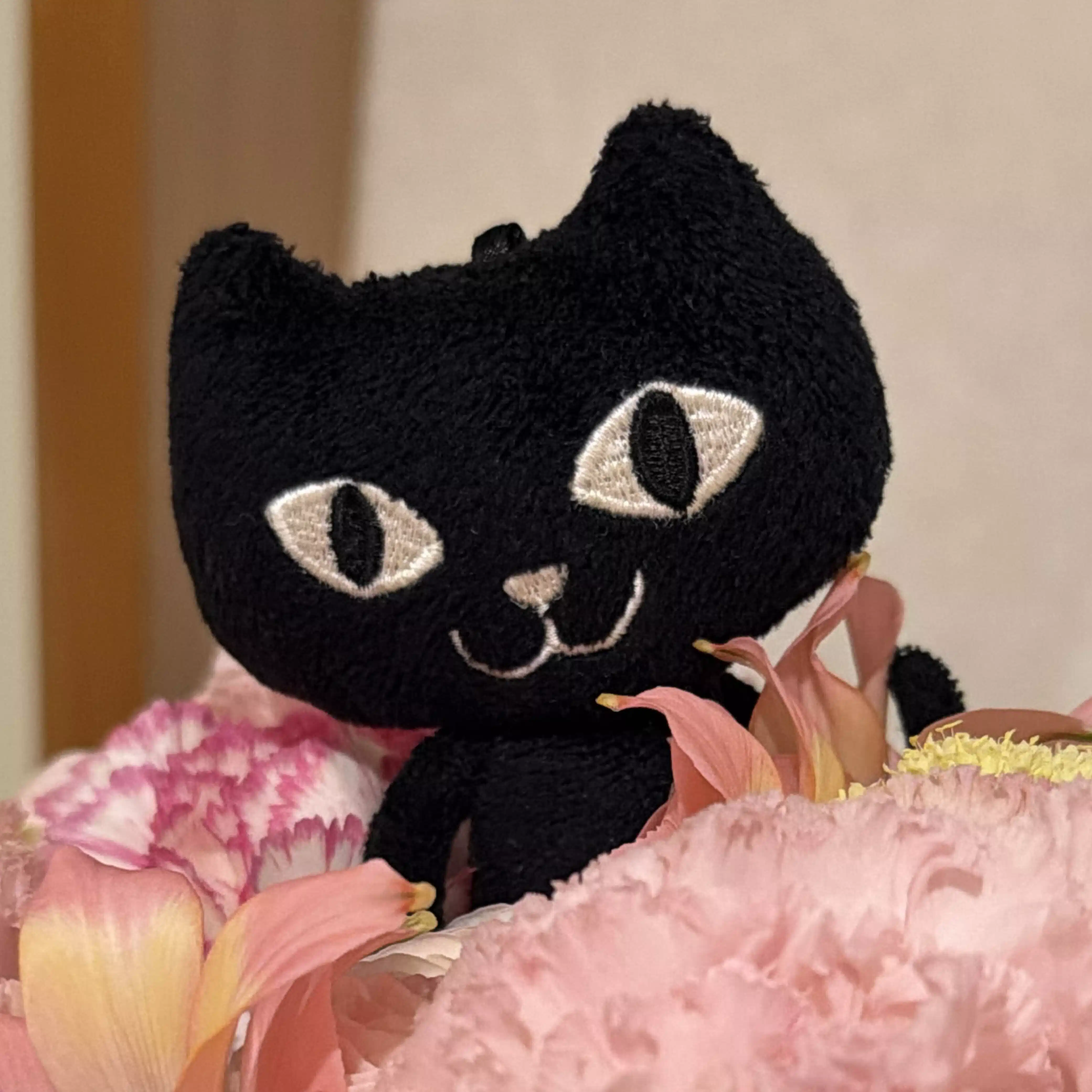 ろくねこ