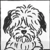 空犬太郎（空犬通信）