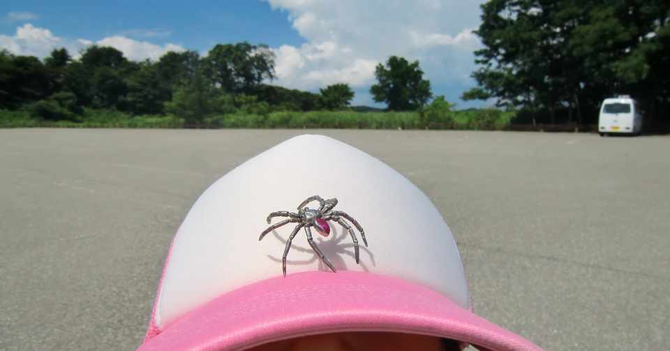 実は がっかりしてること あるのかも Katscore Note