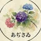 俳号あぢさゐ ｜ 俳句の響きを和音で読み解く