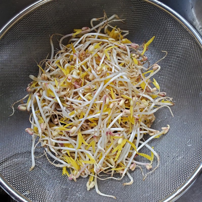 自由研究 もやし栽培 とりんち Trinitynyc Note 自由研究 もやし栽培 とりんち Trinitynyc Note