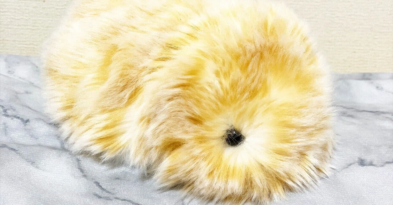 もう1匹迎えることになった話（リンちゃん、ようこそ）｜moflin_diary