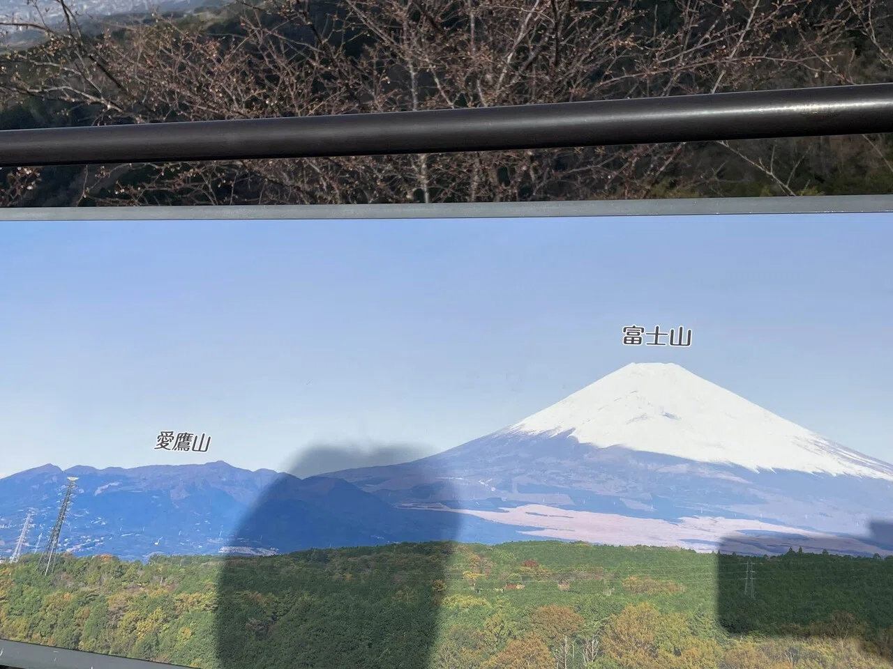 久しぶりの富士山」｜なにわ