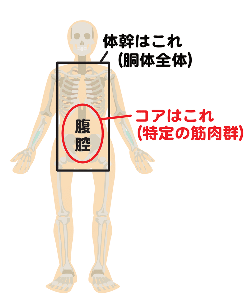 体幹トレーニング は誤訳 めるも Note