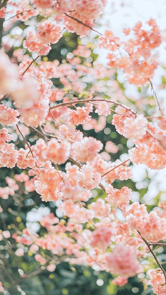 ハッピーシェアサロン💐