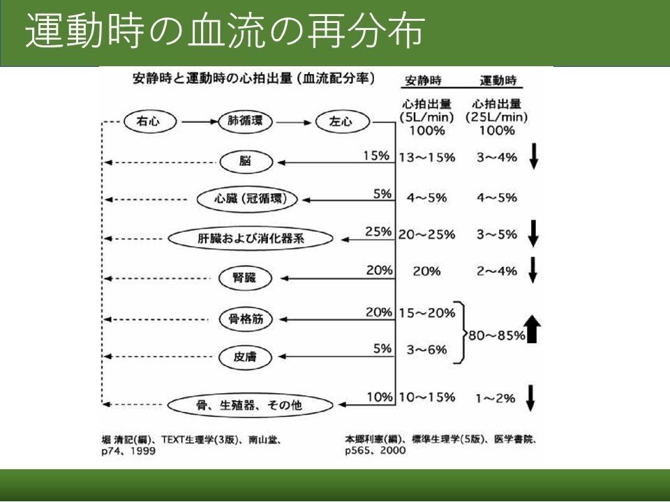 血流再分布