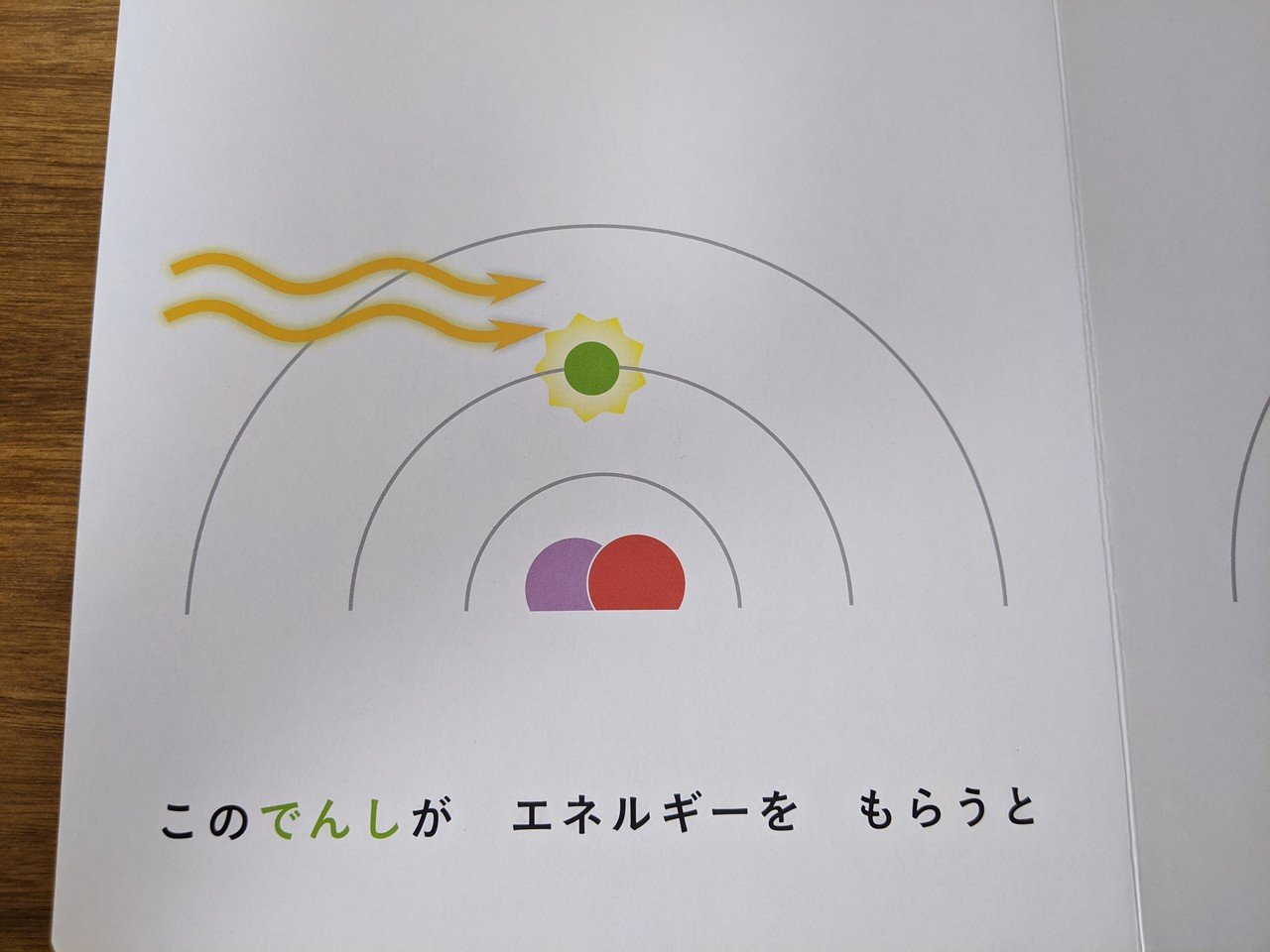 おすすめ本の紹介】『りょうしりきがく for babies』｜山田