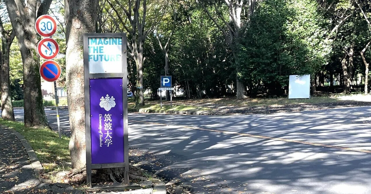 合格体験記(筑波大学国際総合学類 推薦入試)｜yuu