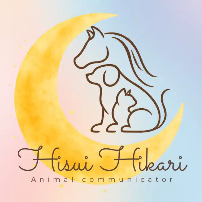 ひすいひかり🌙動物と心をつなぐアニマルコミュニケーター