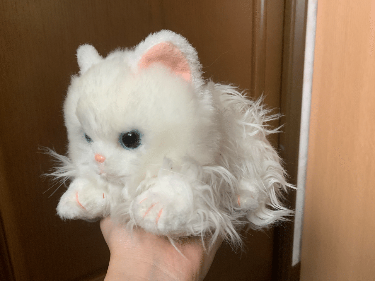 始まり 神の 音楽家 猫 ぬいぐるみ トイザらス Hang8 Jp 始まり 神の 音楽家 猫 ぬいぐるみ トイザらス Hang8 Jp