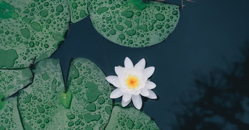 少ないパイを奪い合う世界で戦うのはいやだな 井上麻衣 Note