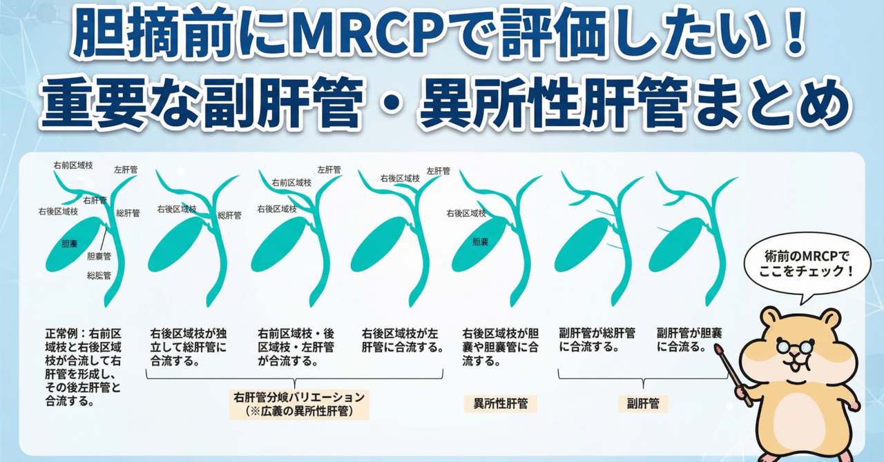 胆摘前にMRCPで評価したい!重要な副肝管・異所性肝管まとめ|とっとこ画像診断太郎
