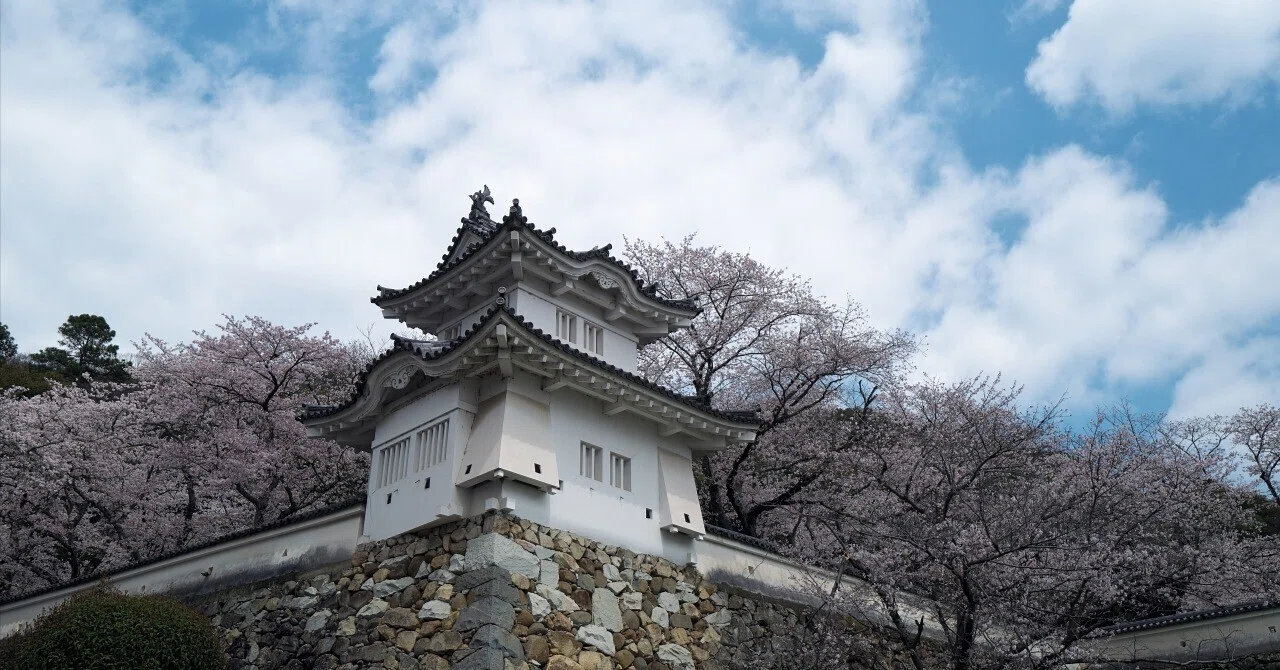 龍野城へ桜を見に行ってきた｜Hide.Yamamoto