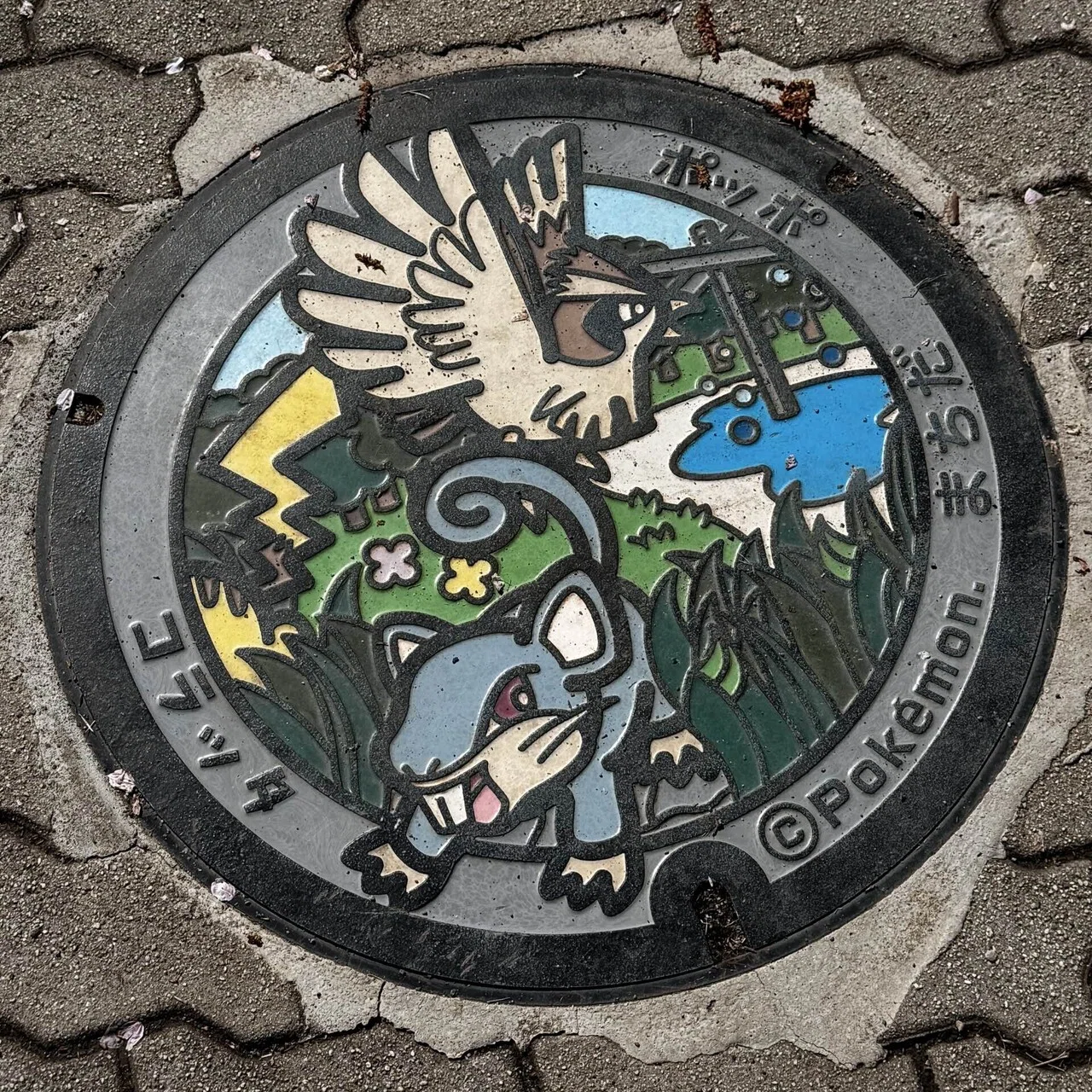 ポケふた行脚】東京都町田市｜呑酸