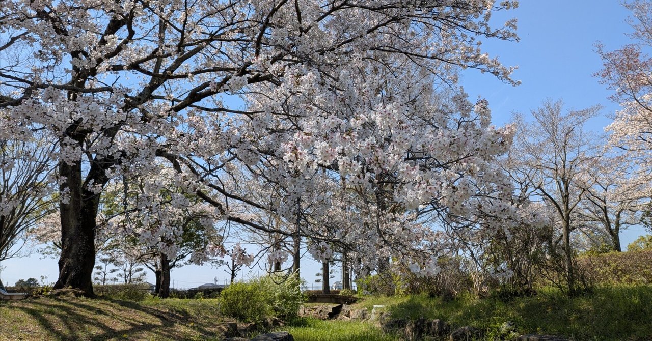 道草#9~仕事のお供とメシオ~|葦原メシオ