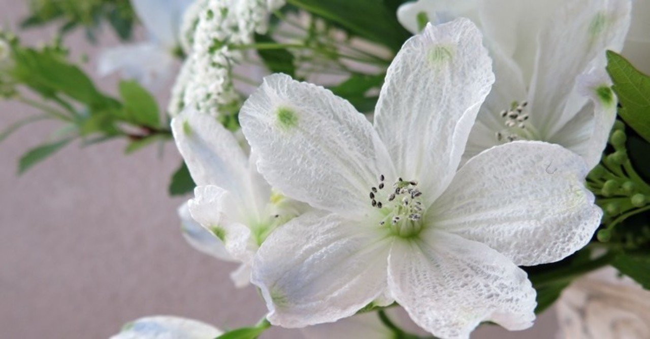 花材特徴まとめ デルフィニウム 花と日々 Yas Note