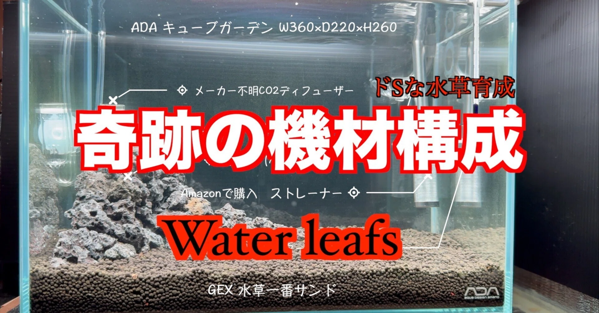 激ムズ！ドSな水草を育てる機材構成｜waterleafs