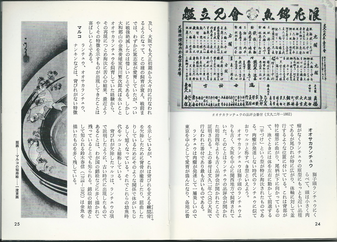 第34巻 金魚｜colorbooks_cafe